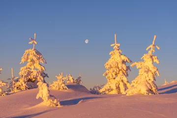 Rolgordijnen Dramatic wintry scene with snowy trees. © Ivan Kmit