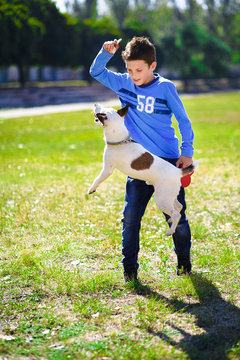 Boy playing with a dog