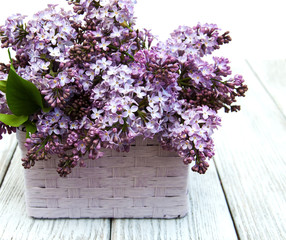 Lilac flowers