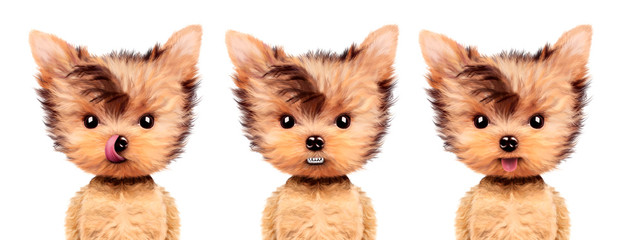 Puppies sitting frontal with different emotions