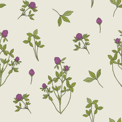 Beautiful floral seamless pattern with red clover on light background. Meadow plant with pink blooming flowers and green trifoliate leaves hand drawn in retro style. Vector illustration for wallpaper.