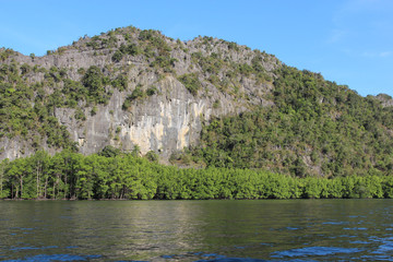 River trip in the rainforest