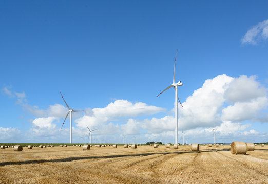 Herbstliches Getreidefeld mit Strohrollen