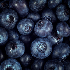 pile of ripe blueberries closeup background