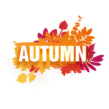 Template for the design of a horizontal banner for the autumn season. Sign with text fall on a red background with a decor of a silhouette of maple leaves and oak. The natural label. Vector.