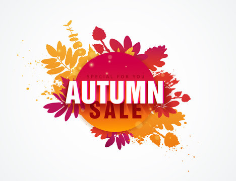 Template design circle autumn sale banner with decor silhouette of plants. Sign of promotion and discounts offer of the nature of the fall season with leaves of maple. Vector.