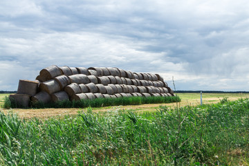 Coils of hay stacked in the hills