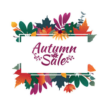 Design banner with autumn sale logo. Discount card for fall season with white frame and herb. Promotion offer with autumnal  oak plant, maple leave and flowers decoration. Vector 