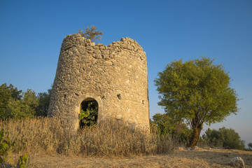 The ruin of a windmill, inside has increased one fig and on top of it an olive. 
