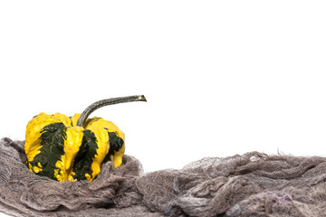 Halloween decoration background. Isolated