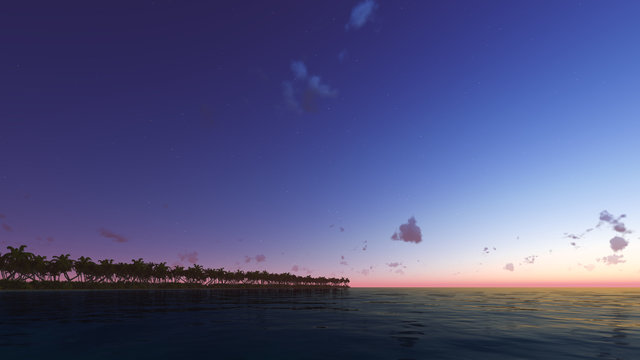 Night tropical islend with palm tree and blue sky 3D render