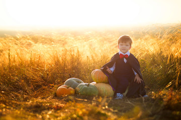 Happy child boy dressed as a dracula with pumpkins on sunset. Halloween