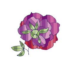peony sketch vector illustration.  hand drawn spring flower sketch for surface design. floral elements for web and print.