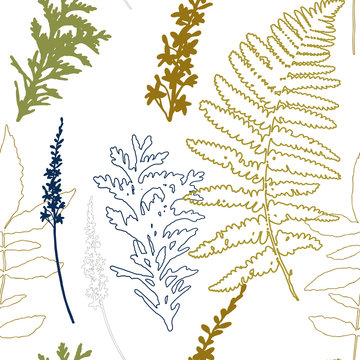 Floral vector seamless pattern with wild flowers, fern leaves and evergreen pine tree branches.