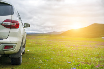 Car on the grassland