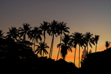 Obraz premium Tropical beach at sunrise