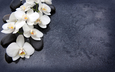 Naklejka na ściany i meble Zen stone and white orchid isolated.