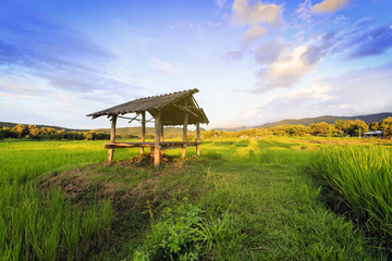 Cottage at rice field with sky clouds