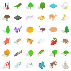Jungle icons set, isometric style