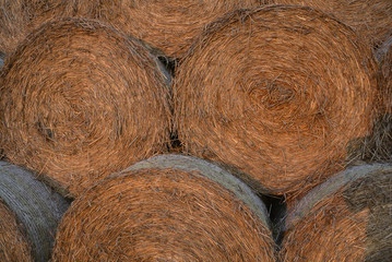 Strohballen rund