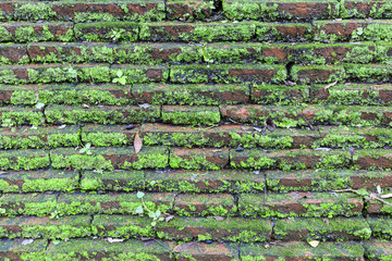 Old red brick with moss, nature background