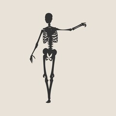 Human skeleton posing. Vector illustration. Halloween party design template
