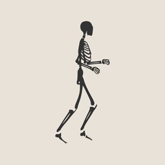 Human skeleton posing. Vector illustration. Halloween party design template