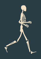 Human skeleton running. Vector illustration. Halloween party design template