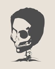 Anatomic Skull. Detailed illustration of human skull.