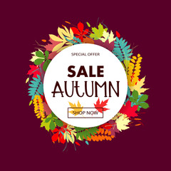 Sales banner with multicolor autumn leaves. Vector