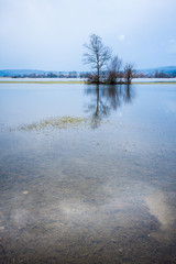 Water covered Planinsko karts field in winter.