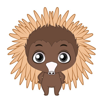 Cute stylized cartoon echidna illustration ( for fun educational purposes, illustrations etc. )