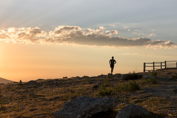 Man running on a mountain in summer during a nice sunset.