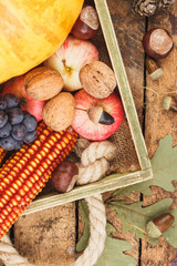Thanksgiving day: Tray of different vegetables