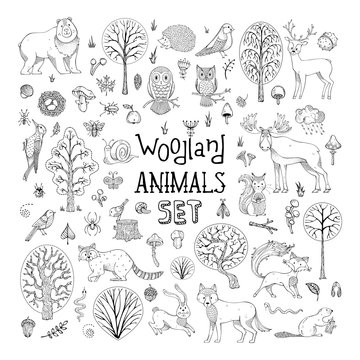 Vector doodles woodland animals set.