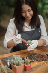 Portrait young Asian girl planting little cactus in a pot