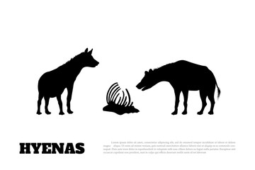 Detail of black hyena silhouette on a white background. African animals.