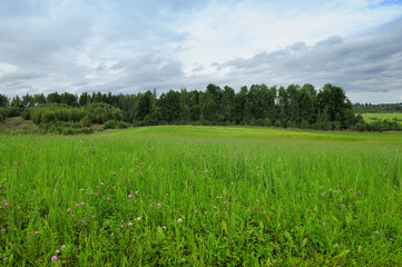 green field in thick weather in early autumn