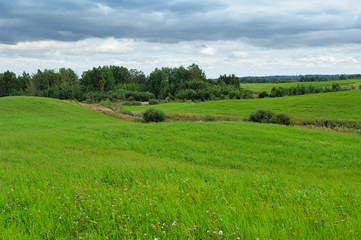 Fototapeta na wymiar green field in thick weather in early autumn
