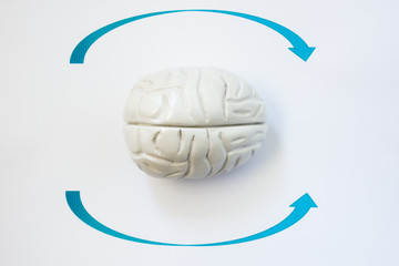 Symptom of Vertigo or head is spinning photo concept. Shape of human brain lies surrounded by arrows that indicate direction of Vertigo. Symptom and sensation of many diseases of brain and inner ear