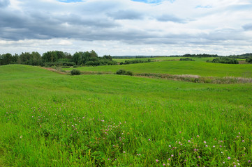 green field in thick weather in early autumn