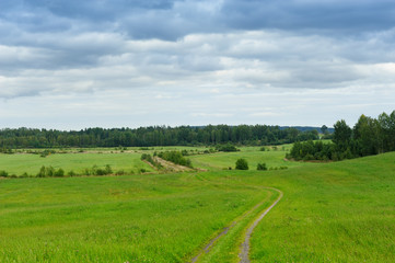 field road in early autumn in the northwest of Russia