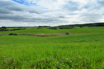 green field in thick weather in early autumn
