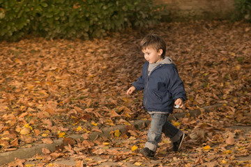 Little child walking among dried leaves
