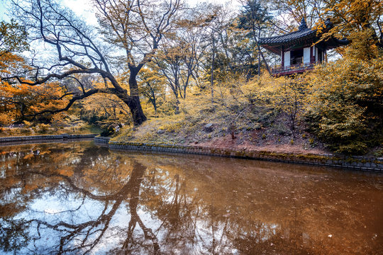 Autumn in gyeongbokgung palace seoul korea