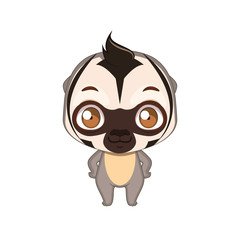 Cute stylized cartoon douroucouli illustration ( for fun educational purposes, illustrations etc. )