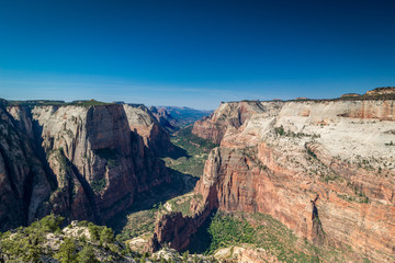 Panorama am Zion Observation Point