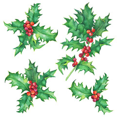 Fototapeta premium Set Holly twig (Ilex, Christ's thorn) Holiday, traditional Christmas decoration for greeting card, invitation. Noel, New Year. Watercolor hand drawn painting illustration isolated on white background.