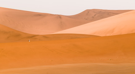 Fototapeta na wymiar lone person walking on the dunes, Sossusvlei, Namibia
