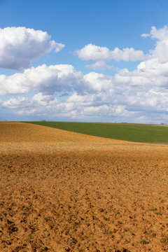 Paisaje con tierras en barbecho aradas recientemente  y cultivos de cereal. Con nubes algodonosas